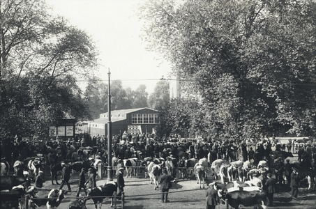 99039 Gezicht op het Vredenburg te Utrecht tijdens de laatste veemarkt op het plein.N.B. De eerstvolgende markt zal op ...